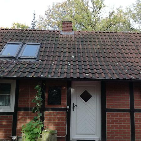 Ferienhaus In Rumke Bippen Eksteriør billede