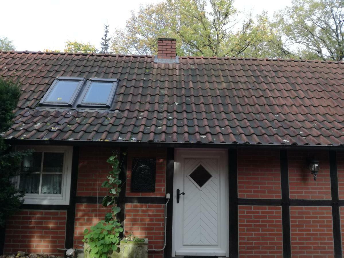 Ferienhaus In Rumke Bippen Eksteriør billede